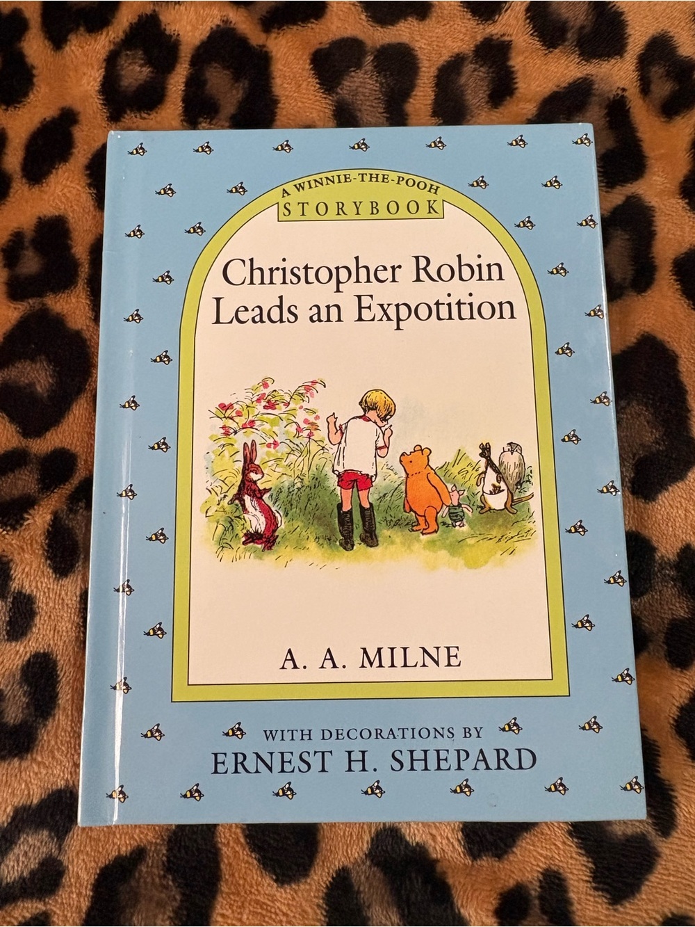 Vintage Winnie the Pooh Storybook Christopher Robin Leads an Expotition Hardback